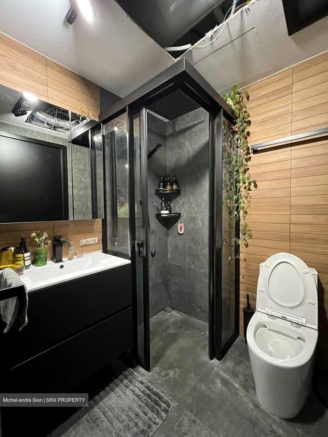 Natura@Hillview (D23), Apartment #546069501
